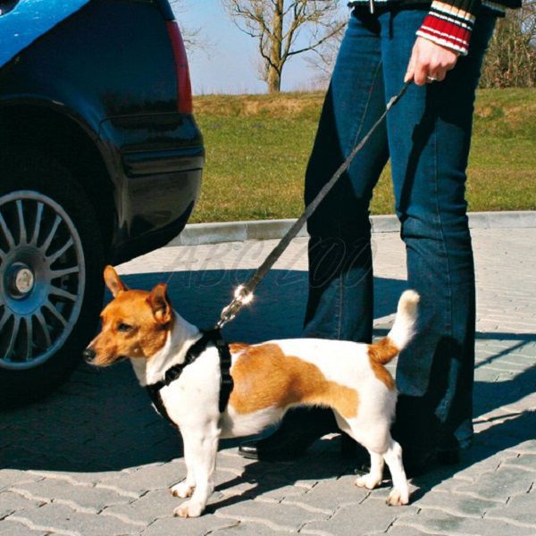 Biztonsági kutyapóráz autóba, 40 - 60 cm