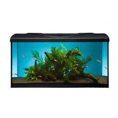 Akv&aacute;rium STARTUP 80 LED Expert 16W - EGYENES - FEKETE
