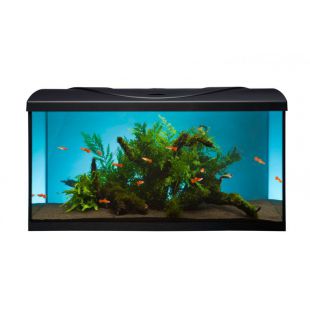 Akvárium STARTUP 80 LED Expert 16W - EGYENES - FEKETE