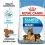 ROYAL CANIN MAXI STARTER MOTHER AND BABY DOG 2 x 15 kg