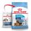 ROYAL CANIN MAXI STARTER MOTHER AND BABY DOG 2 x 15 kg
