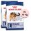 ROYAL CANIN MAXI ADULT 2 x 15 kg