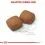 ROYAL CANIN GIANT JUNIOR 2 x 15 kg