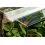 TERRASET 30 FOREST terr&aacute;rium - 30 x 25 x 35 cm