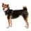 Ruffwear Front Range&reg; Harness h&aacute;m, Basalt Gray S
