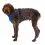 Ruffwear Front Range&reg; Harness h&aacute;m, Blue Pool L/XL