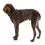Ruffwear Front Range&reg; Harness h&aacute;m, Moonlight Mountains L/XL