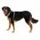 Ruffwear Front Range&reg; Harness h&aacute;m, River Rock Green S