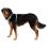 Ruffwear Front Range® Harness hám, Spring Mountains XXS