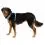 Ruffwear Front Range&reg; Harness h&aacute;m, Spring Mountains M