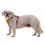 Ruffwear Hi & Light™ hám, Lichen Green XS