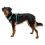 Ruffwear Hi & Light™ hám, Sage Green XXS
