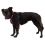 Ruffwear Hi & Light™ hám, Alpenglow Pink XXS