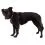 Ruffwear Hi & Light&trade; h&aacute;m, Alpenglow Pink L/XL