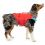 Kurgo Surf N Turf Dog Life Jacket Úszómellény kutyáknak, S piros