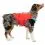Kurgo Surf N Turf Dog Life Jacket &Uacute;sz&oacute;mell&eacute;ny kuty&aacute;knak, S piros
