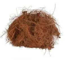 R&aacute;gcs&aacute;l&oacute; alom