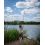 FOX Horizon X3 - S 12ft 3.00lb CORK nyél 12ft 3.00lb