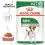 Pouch Royal Canin Mini Adult 24 x 85 g