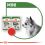Pouch Royal Canin Mini Adult 24 x 85 g