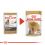 ROYAL CANIN ADULT YORKSHIRE 24 x 85 g - alutasak
