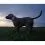 Tractive DOG 6 - GPS nyomk&ouml;vető kuty&aacute;knak &eacute;s eg&eacute;szs&eacute;g&uuml;gyi monitor, fekete