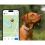 Tractive DOG 6 - GPS nyomk&ouml;vető kuty&aacute;knak &eacute;s eg&eacute;szs&eacute;g&uuml;gyi monitor, barna