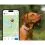 Tractive DOG 6 - GPS nyomk&ouml;vető kuty&aacute;knak &eacute;s eg&eacute;szs&eacute;g&uuml;gyi monitor, barna