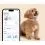 Tractive DOG 6 - GPS nyomk&ouml;vető kuty&aacute;knak &eacute;s eg&eacute;szs&eacute;g&uuml;gyi monitor, barna