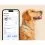 Tractive DOG 6 - GPS nyomk&ouml;vető kuty&aacute;knak &eacute;s eg&eacute;szs&eacute;g&uuml;gyi monitor, menta