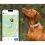 Tractive DOG 6 - GPS nyomk&ouml;vető kuty&aacute;knak &eacute;s eg&eacute;szs&eacute;g&uuml;gyi monitor, menta