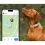 Tractive DOG 6 - GPS nyomk&ouml;vető kuty&aacute;knak &eacute;s eg&eacute;szs&eacute;g&uuml;gyi monitor, menta