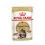 Royal Canin Maine Coon - alutasak, 24 x 85 g