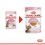 Royal Canin Kitten Steriliz&aacute;lt ivartalan&iacute;tott cic&aacute;knak 24 x 85 g