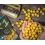 Shimano TX1 Boillie Banana & Pineapple 20mm - 1kg
