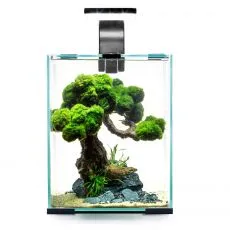 AQUAEL SHRIMP SET SMART D&N 10 FEKETE