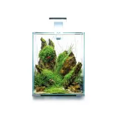 AQUAEL SHRIMP SET SMART D&N 20 FEH&Eacute;R