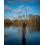 FOX EOS X 12FT 3,6 m / 5.5LB SPOD/MARKER FULL SHRINK