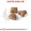 ROYAL CANIN SENSIBLE 10 kg