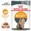 Royal Canin Hair & Skin Care Gravy alutasakos eledel 36 x 85 g