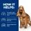 Hill's Prescription Diet Canine z/d AB+ 10 kg + 2x jutalomfalat GR&Aacute;TISZ
