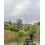 Matrix Aquos Ultra-D Feeder Rod 4.0m/130g/3