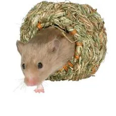 R&aacute;gcs&aacute;l&oacute;h&aacute;zak
