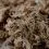 Terrabloom Moss 12 L - pr&eacute;selt