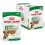 Royal Canin Dog Mini Ageing tasakos eledel sz&oacute;szban 12 x 85 g