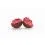 Mivardi Rapid Boilies Starter - Fruit Bomb 3,5kg/20mm