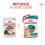 Royal Canin AGEING 11+ Gravy darabok sz&oacute;szban idősebb, mint 11 &eacute;ves macsk&aacute;k sz&aacute;m&aacute;ra 24 x 85 g