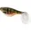 Westin SHADTEEZ 16cm/39g Headlight 1x