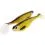 Westin SHADTEEZ 16cm/39g Headlight 1x