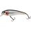 Westin RAWBITE CRANKBAIT Low Floating 15cm/61g Steel Sardine